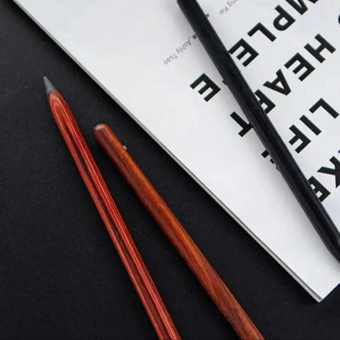 2-Pack Reusable Pencil Drawing