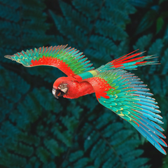 3D Mini Scarlet Macaw Metal Puzzle w/ Acrylic Base, 83PCS Christmas gift